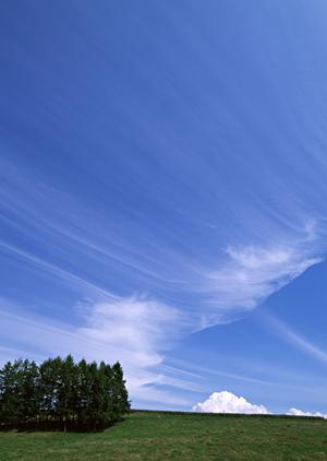 鹿児の唯一の市民葬式をご利用下さい