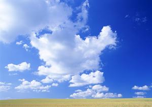 鹿児島での安く行える葬式について