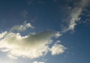 鹿児島市で経済的に余裕のない世帯を対象に小規模葬式